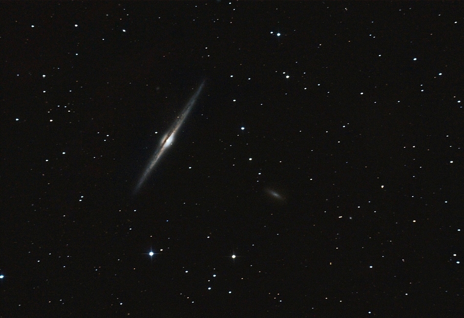 NGC4565